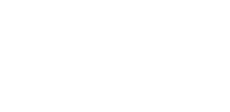 Taddei Store