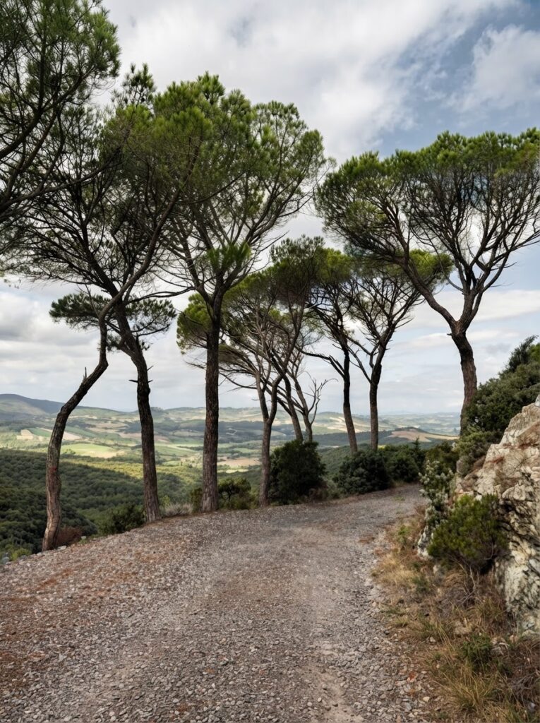 Il ritorno tra storia e magia la Val di Merse e la luce dorata della Toscana